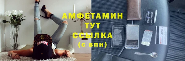 ГАЛЛЮЦИНОГЕННЫЕ ГРИБЫ Вязьма