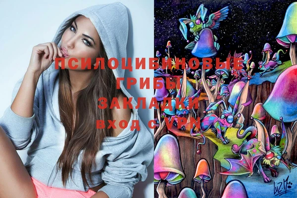 ГАЛЛЮЦИНОГЕННЫЕ ГРИБЫ Вязьма