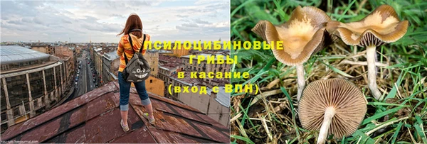 хмурый Вязники