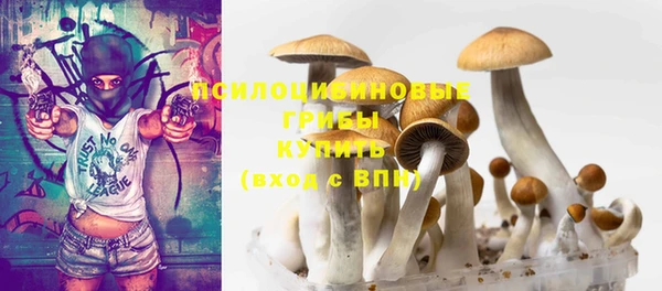 ГАЛЛЮЦИНОГЕННЫЕ ГРИБЫ Вязьма