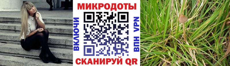 Галлюциногенные грибы мицелий  Купить закладки  Маркс 